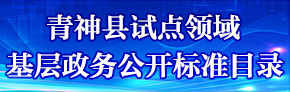 青神縣試點領(lǐng)域基層政務(wù)公開標(biāo)準(zhǔn)目錄